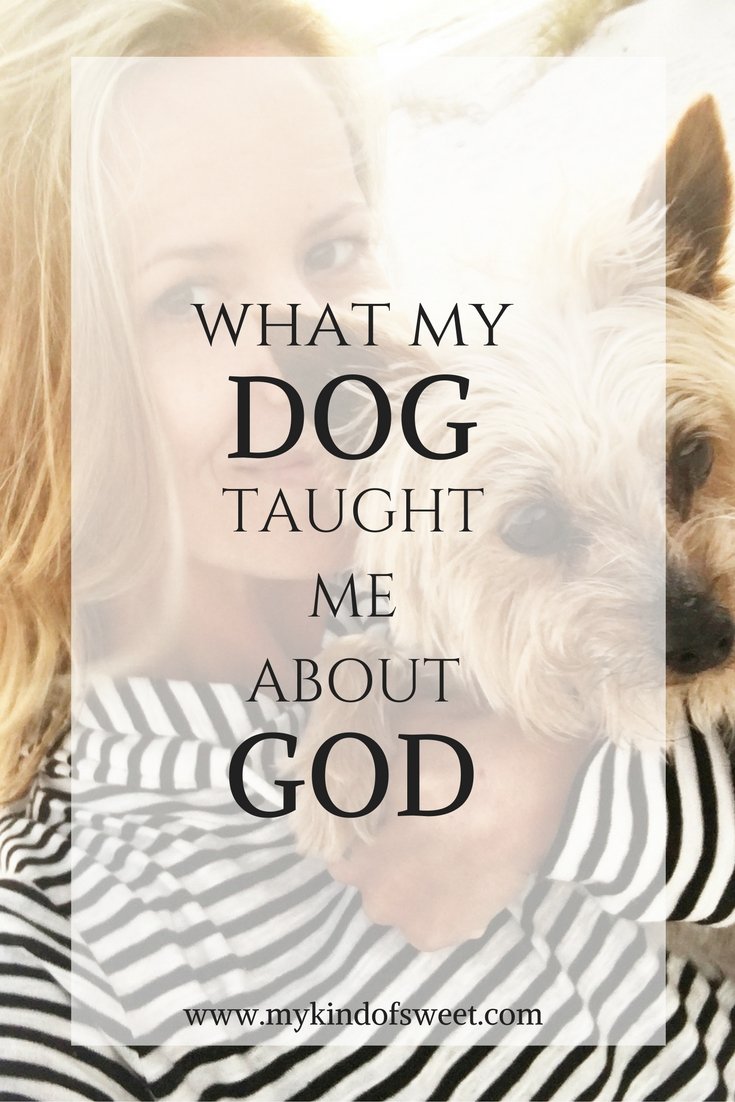 What my dog taught me about God