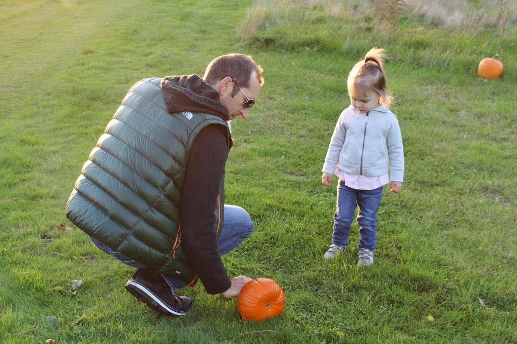 Pumpkin patch, dad and daughter