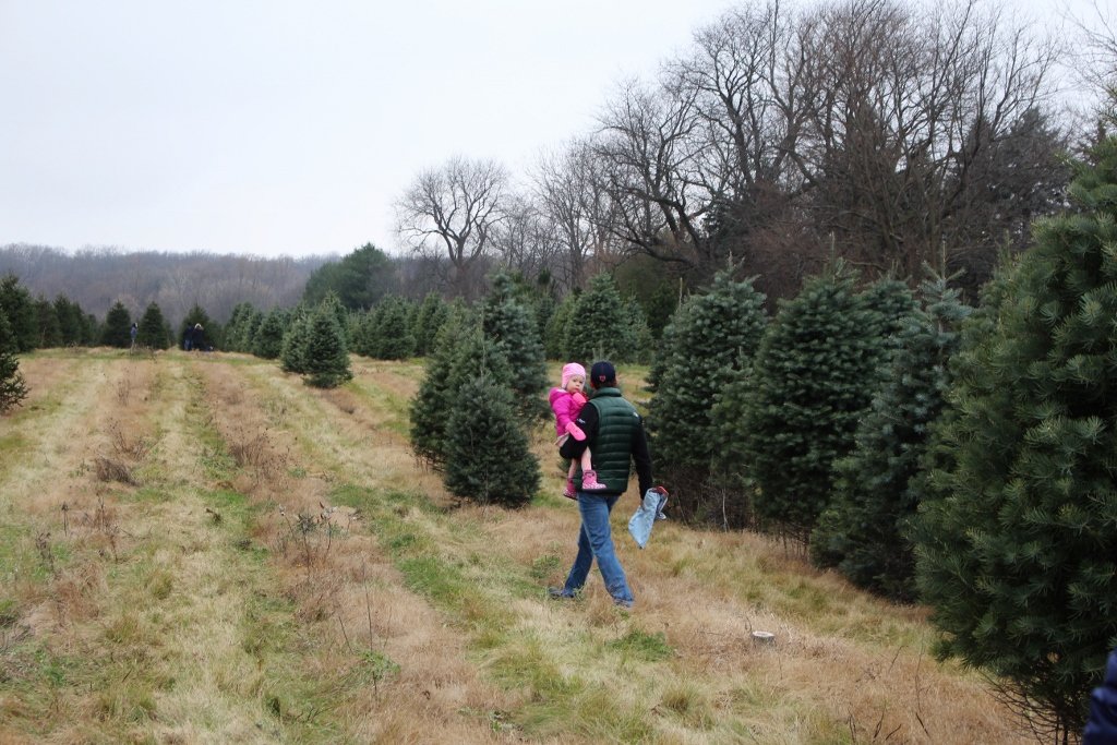 Christmas tree farm with kids