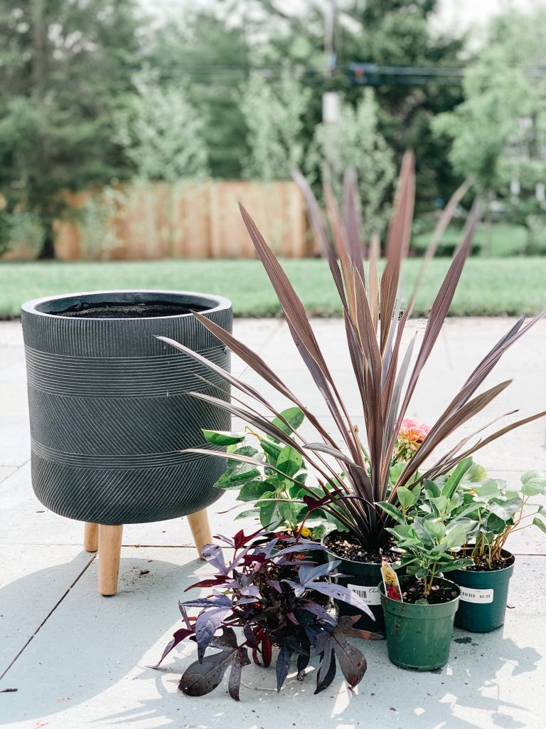 Planting flowers in pots, tips and tricks