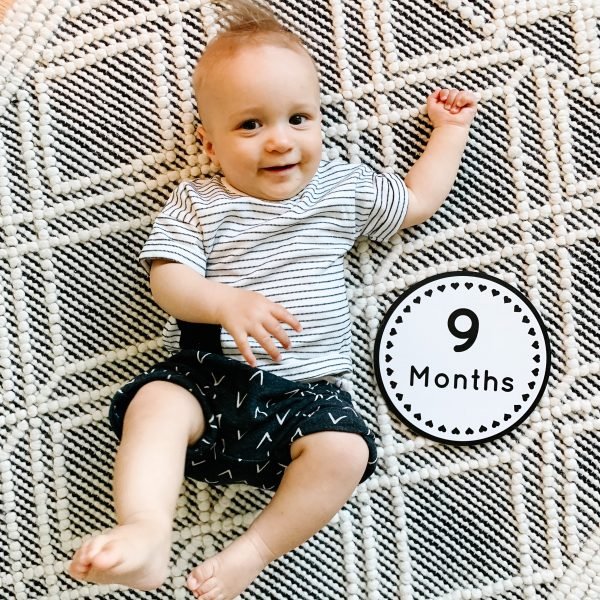 Baby Gray | 9 Month Update
