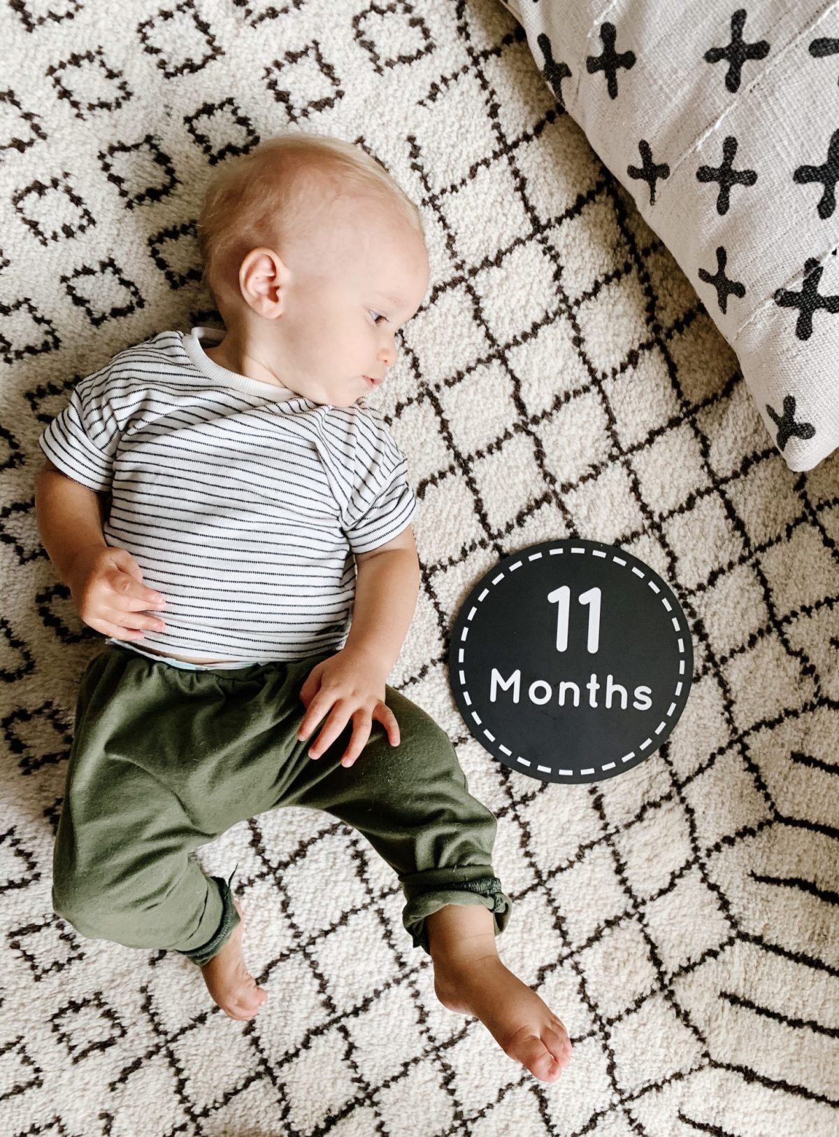 Baby Gray | 11 Months