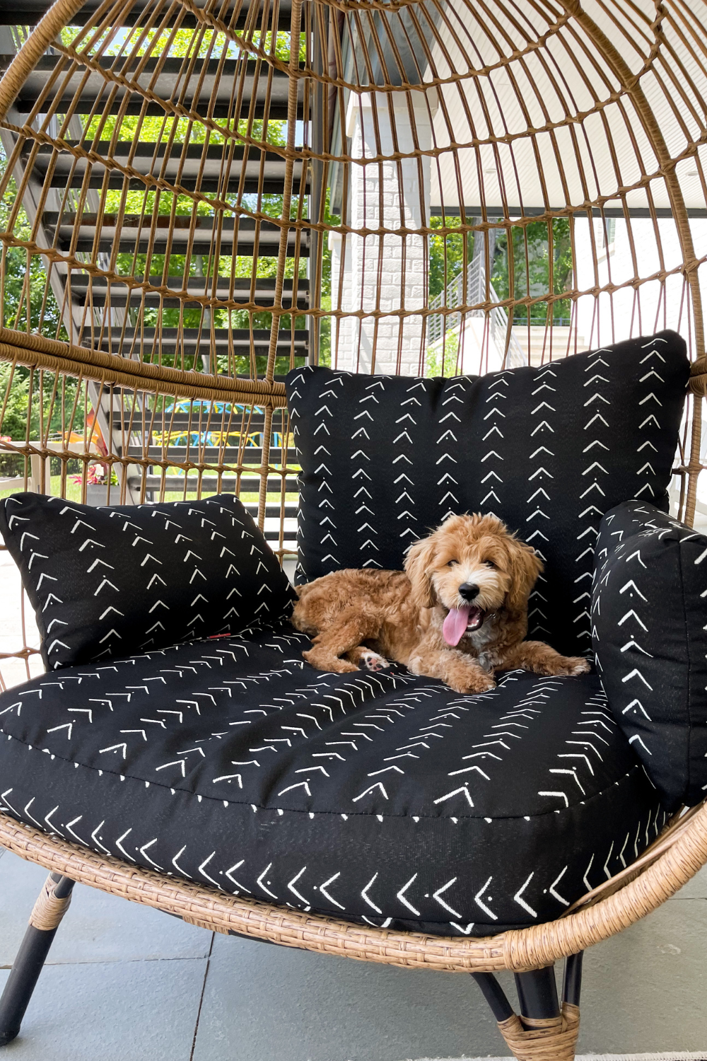 An egg patio chair with a puppy sitting in it