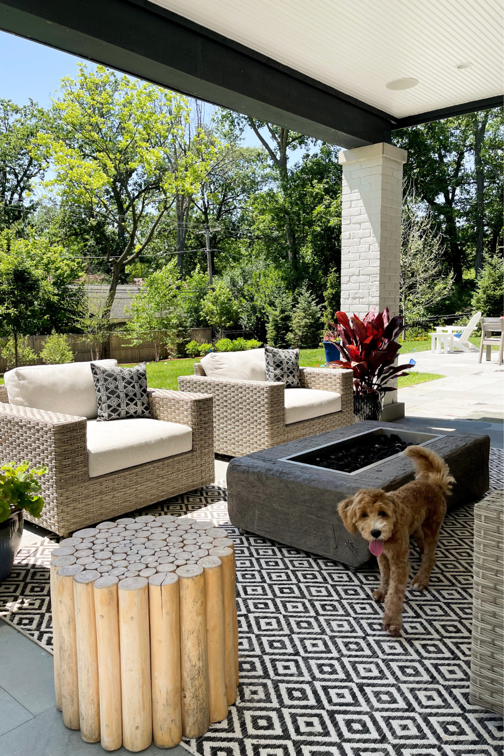 Suzanne's dog, Georgia, in her outdoor space