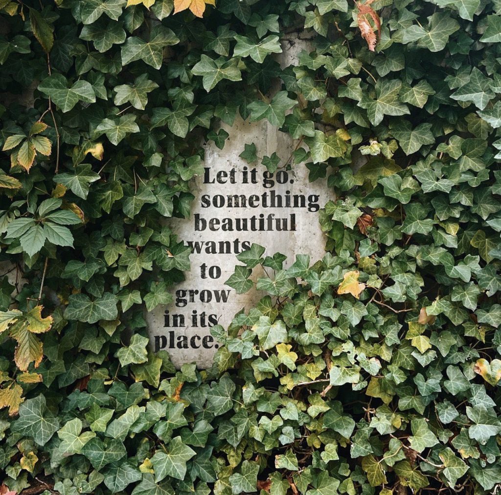A graphic that says, "Let it go, something beautiful wants to grow in its place."