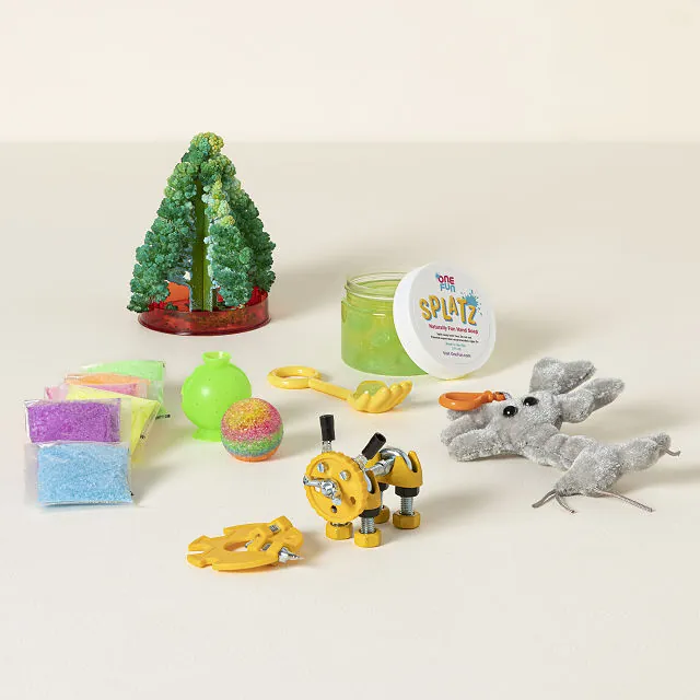 STOCKING STUFFERS FOR LITTLE SCIENTISTS