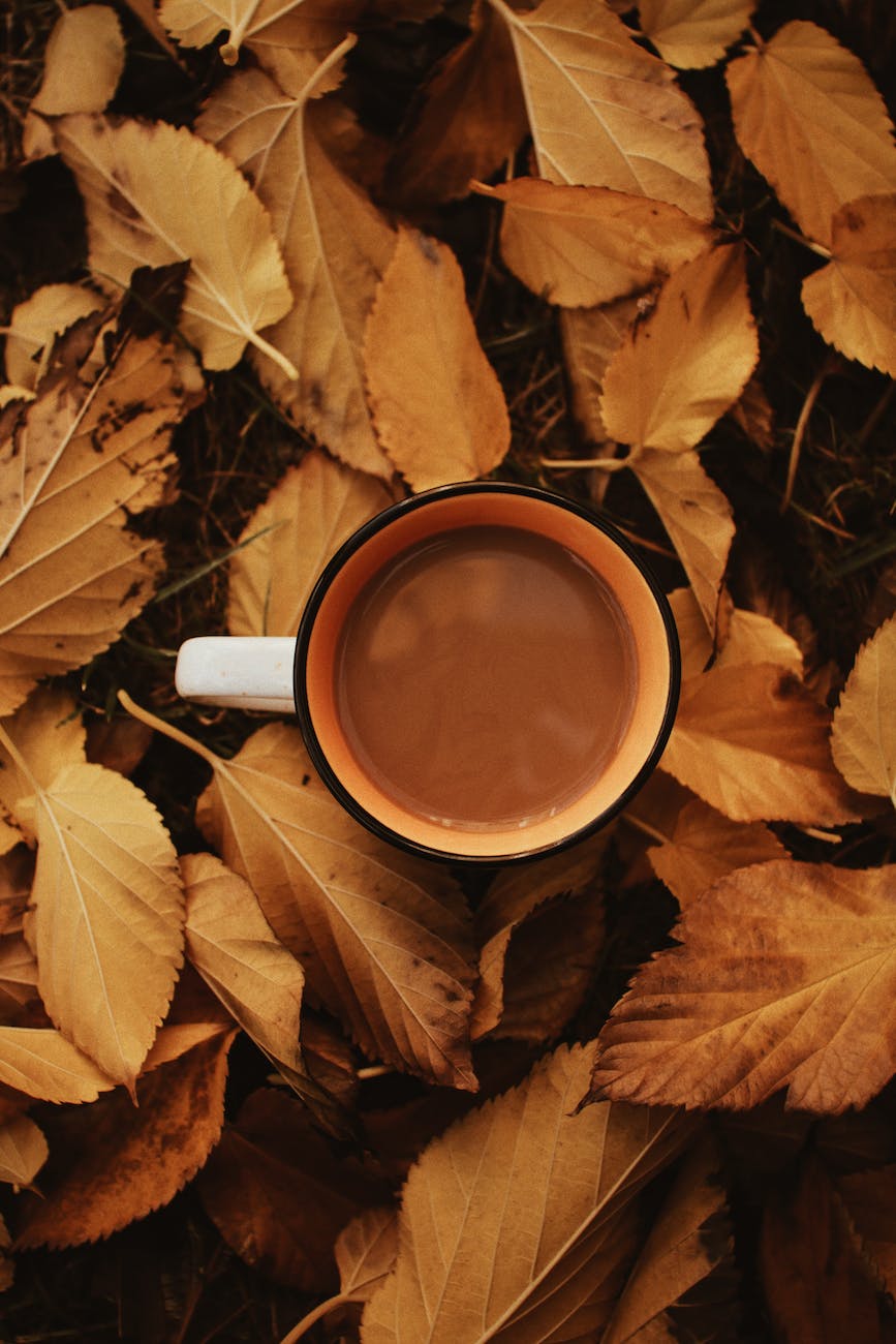 coffee and autumn leaves